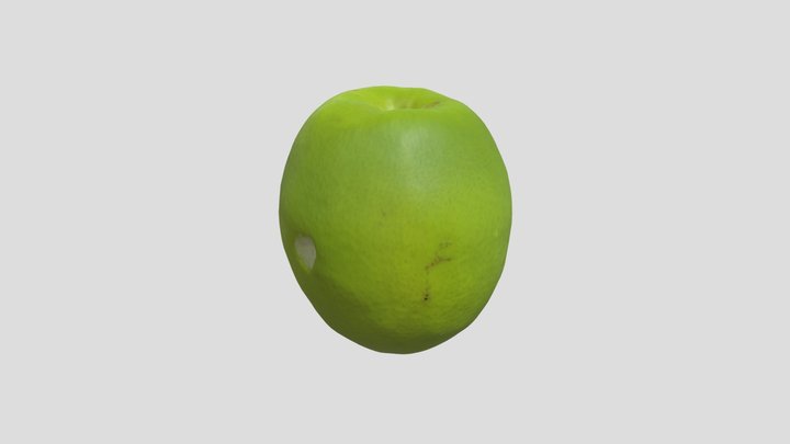 Ziziphus Mauritiana – Free 3D Model STL