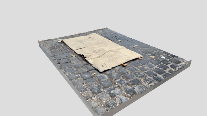 Cardboard on Roman Sidewalk 3D Model