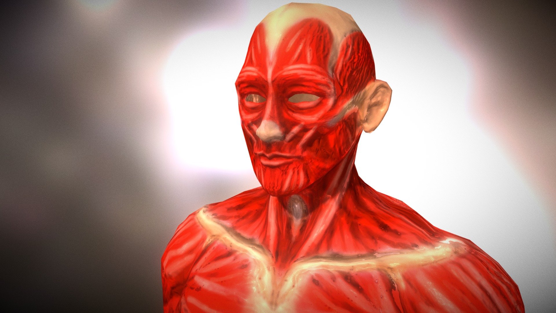 Human Male Anatomy - Download Free 3D model by YuiAline [59c2b21