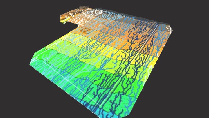 DEM_SanPabloZ 3D Model