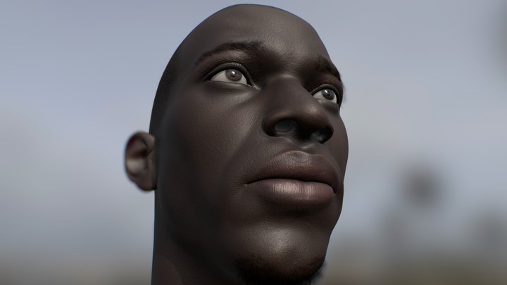 Dark Skin PBR Head 3D Model