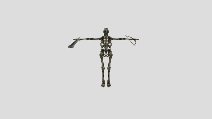 Dark Souls  Giant Skeleton 3D Model