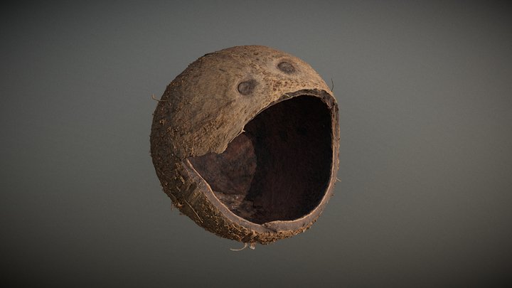 Coconut Shell Monster Scan 3D Model