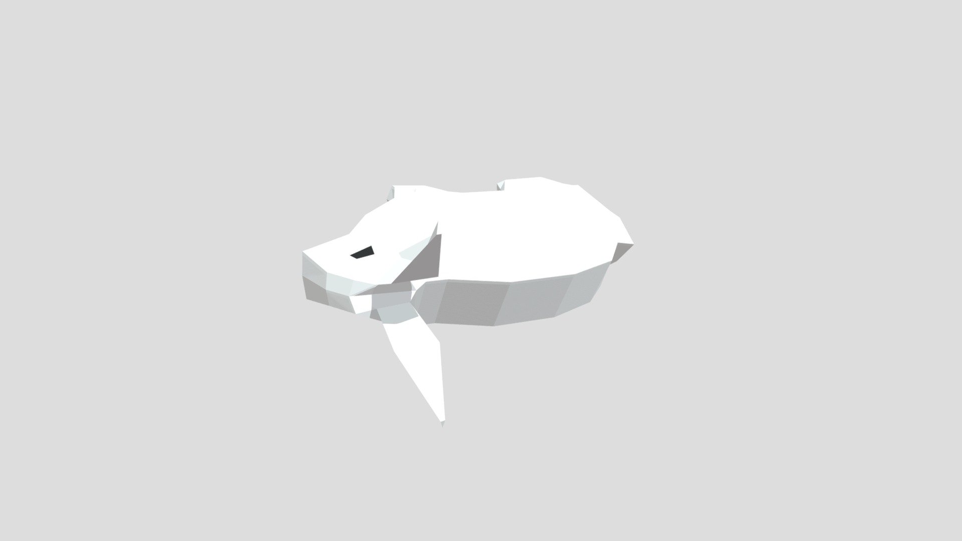 Rabbit 01