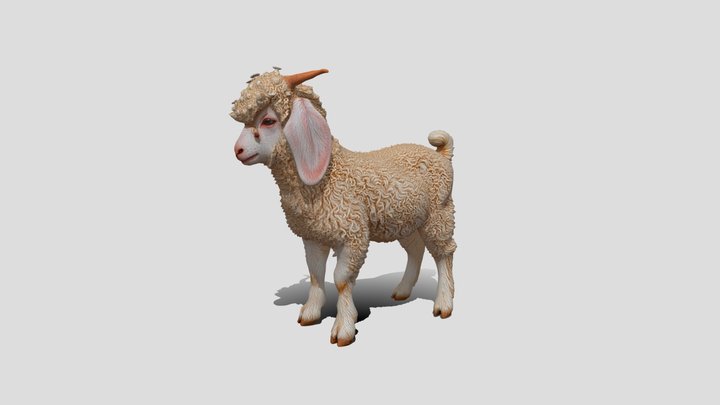 Low poly curly goat 3D model free