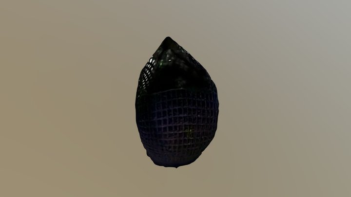 New Qlone 3D Model