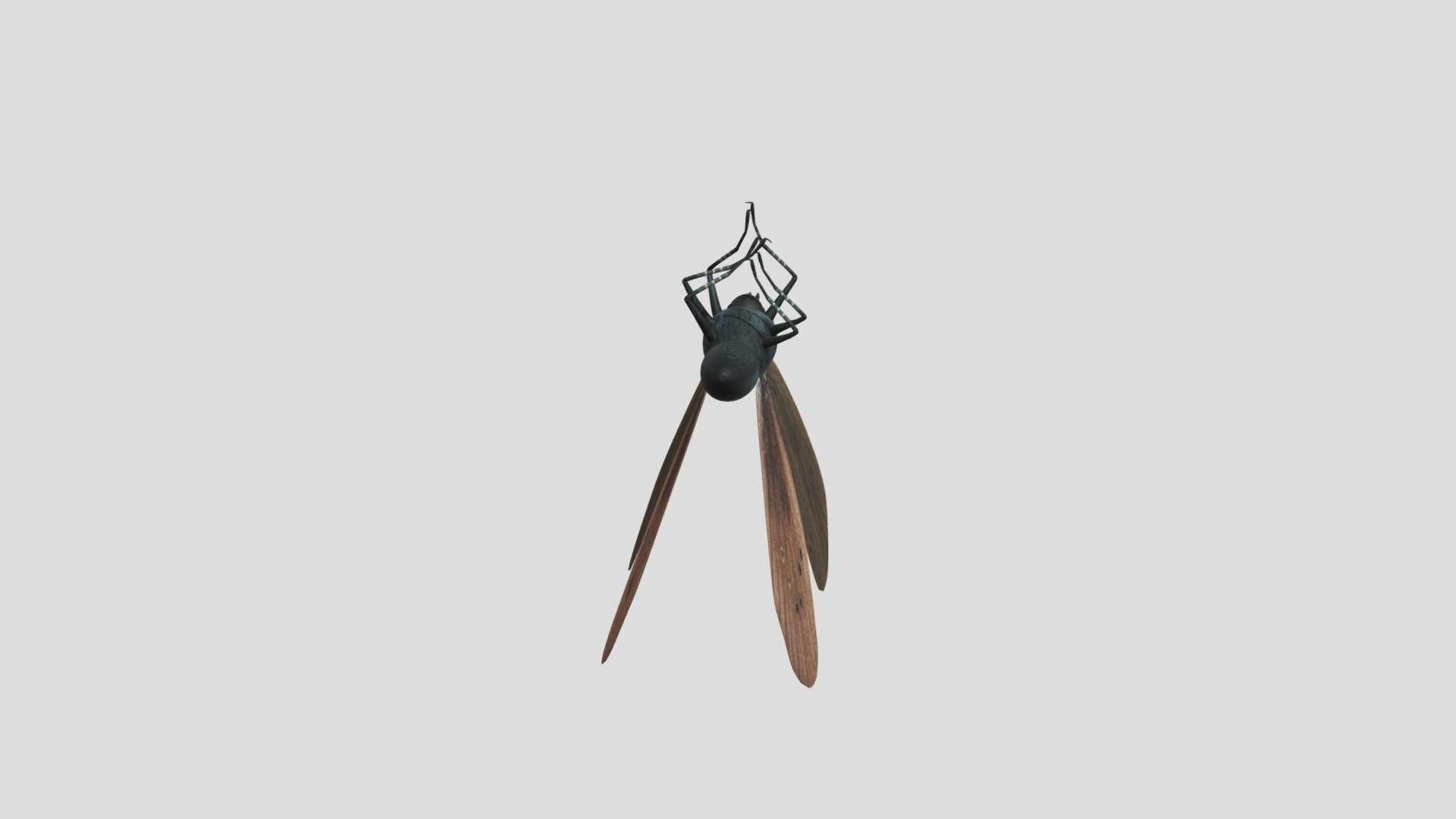 Maculinea Nausithous