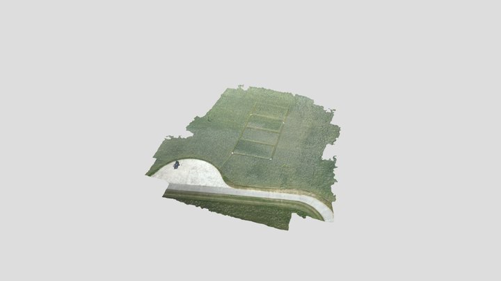3d_mesh 3D Model