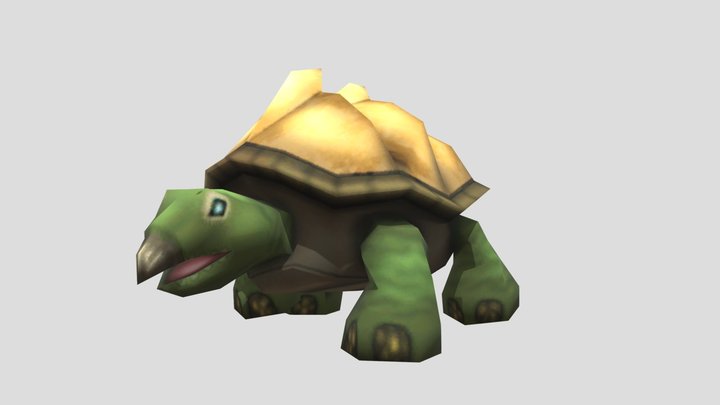 TURTLE ANIMATION