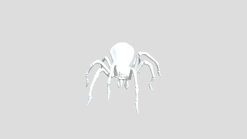 Spider