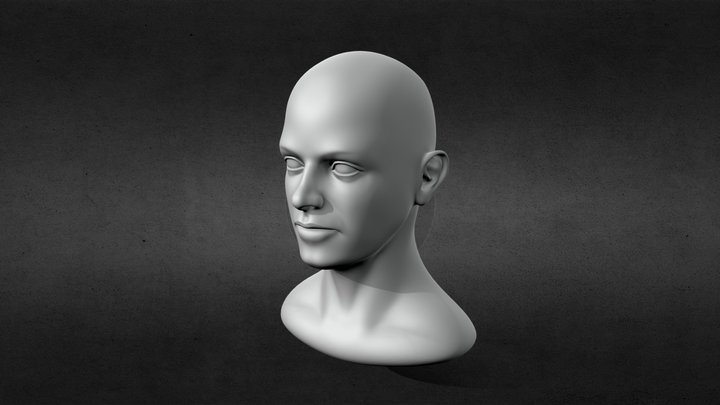 Female Head 2. Base Mesh 3D Model
