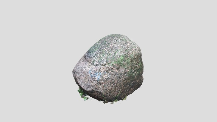 Round Stone With Moss & Leaves - A [CLEANED] 3D Model