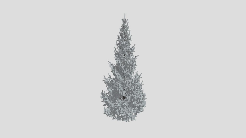 Norway Spruce Picea Abies 6 7m