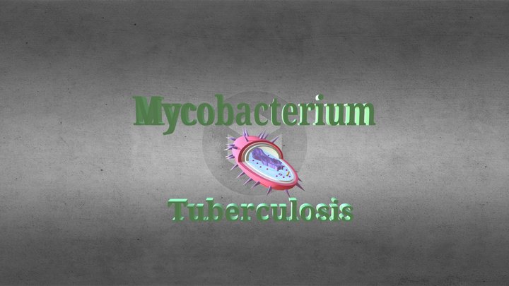 Microughs_MycobacteriumTuberculosisAVL,DAP,CC,JT 3D Model
