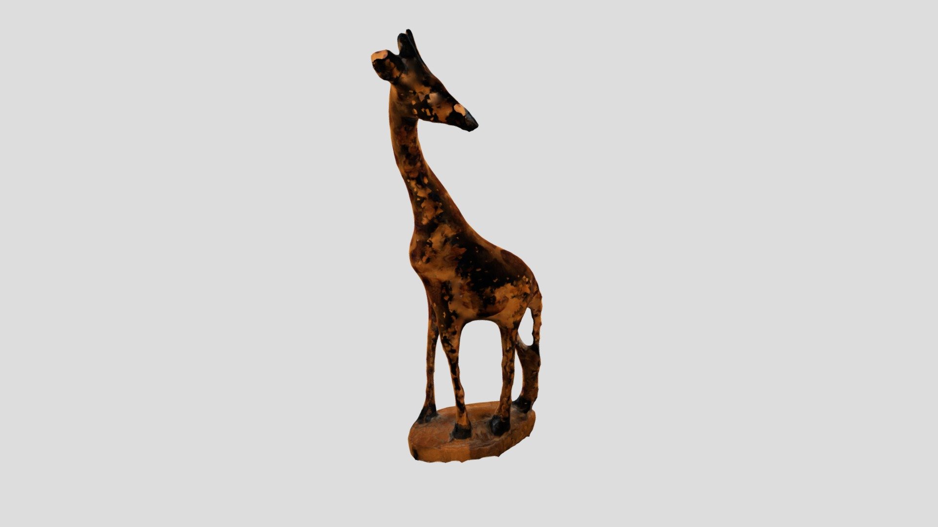 METASHAPE GIRAFFE PROCESSED