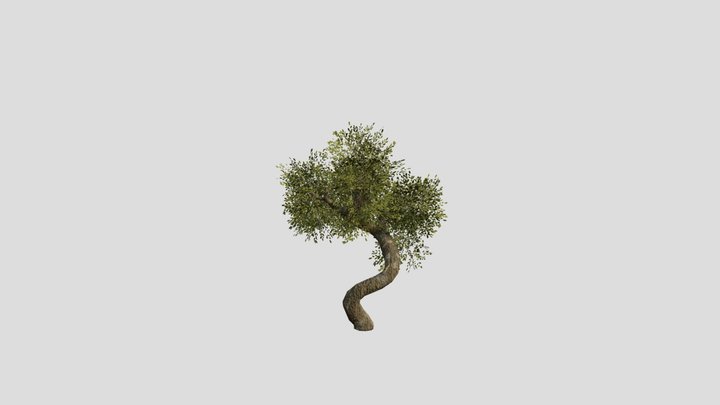 Tree Animation 3D Model