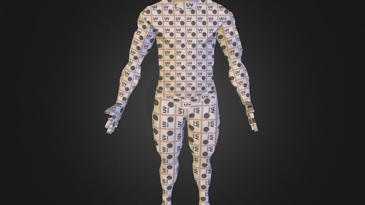 3DAN305_TEXTURE_BODY 3D Model