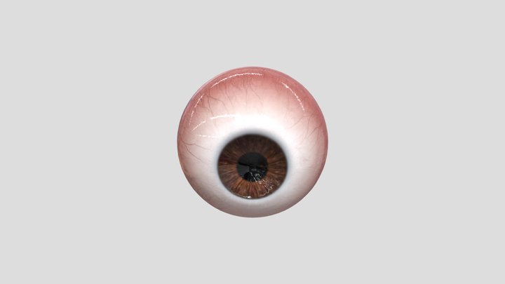 Realistic eye 3D Model