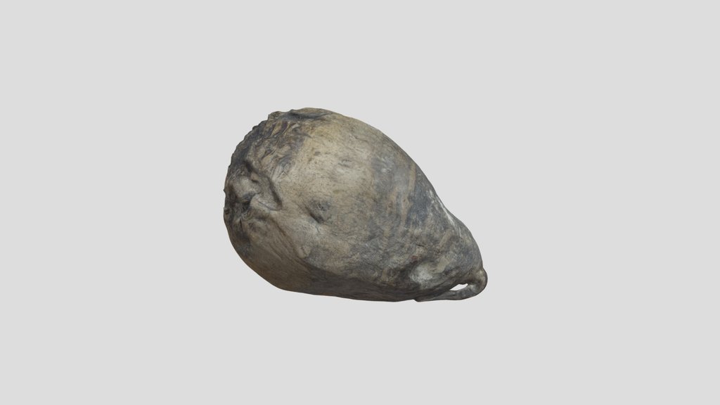 Yam Vegetable Scan