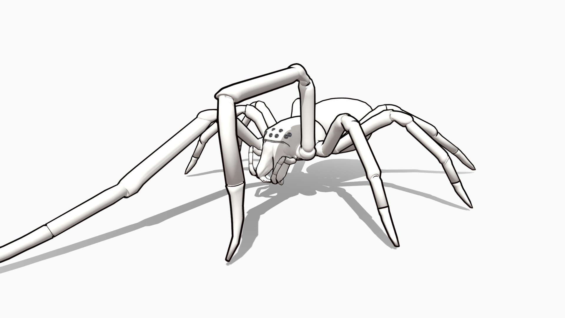 Cheiracanthiidae and Clubonidae