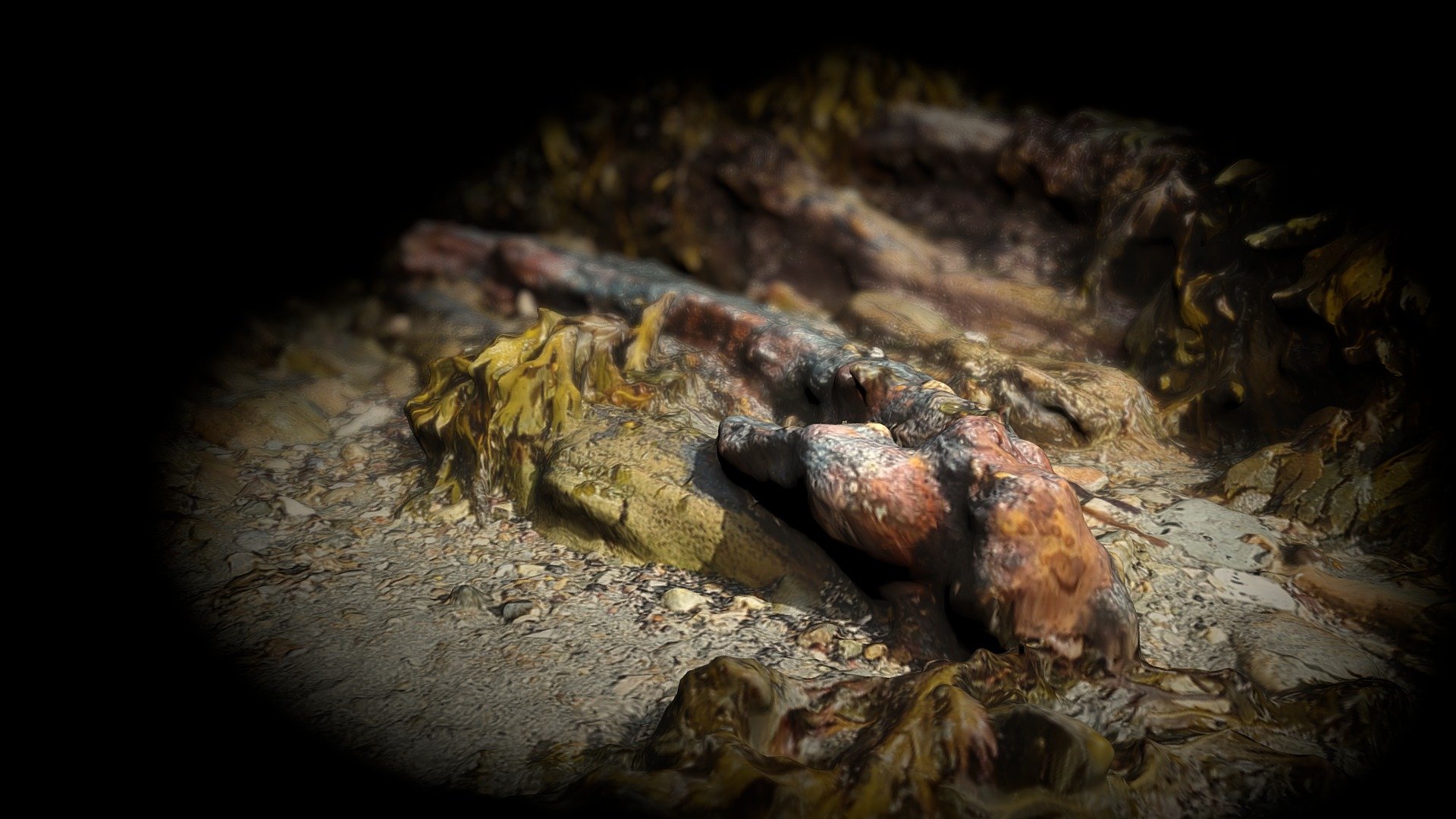 Metal Object, St Mawes Harbour, Cornwall