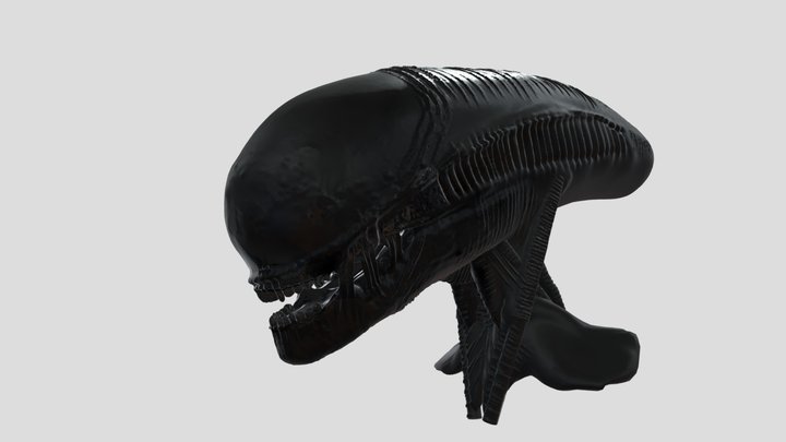 xenomorph sculpt head