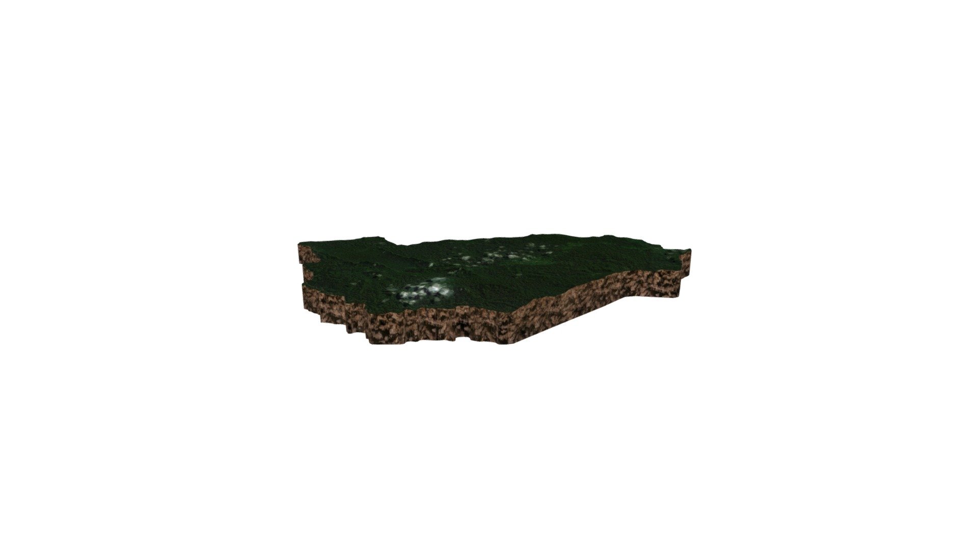 Protection des gorilles de Grauer