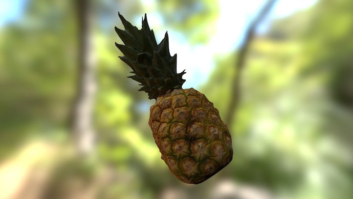 Baby Pineapple. 3D Scanning for 3D SmartLabs 3D Model