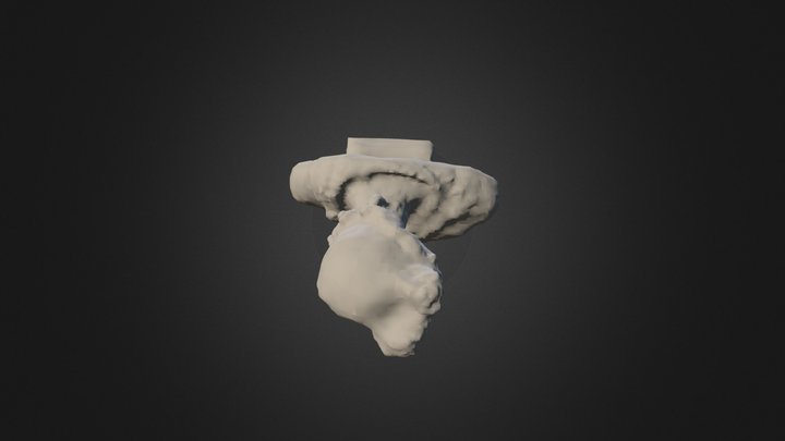 Busto de Apolo (corrección) 3D Model
