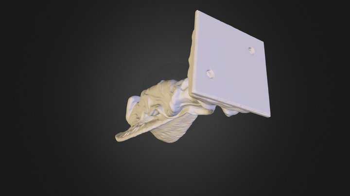 scansione-3d-beni-culturali-dynamic-3d.obj 3D Model