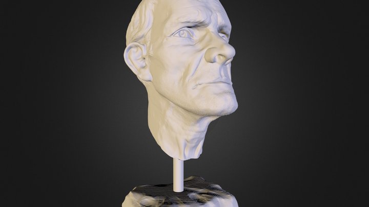OldManBust 3D Model