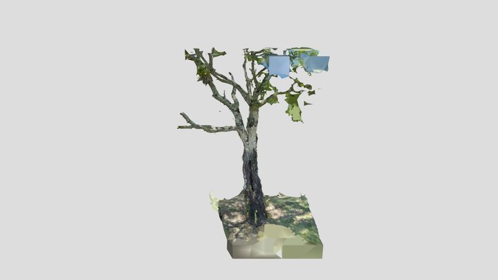 Scan 2023-01-05T23:58:01.818Z 3D Model