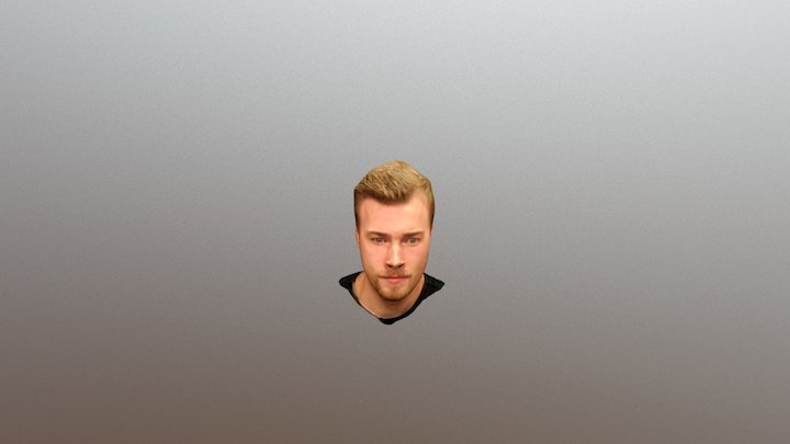 Mikkel 3D Model