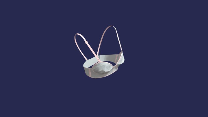 Bra100 3D Model