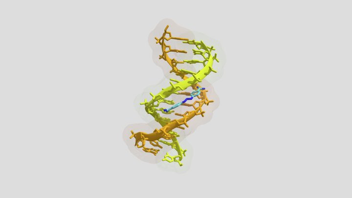 dna+drug 3D Model