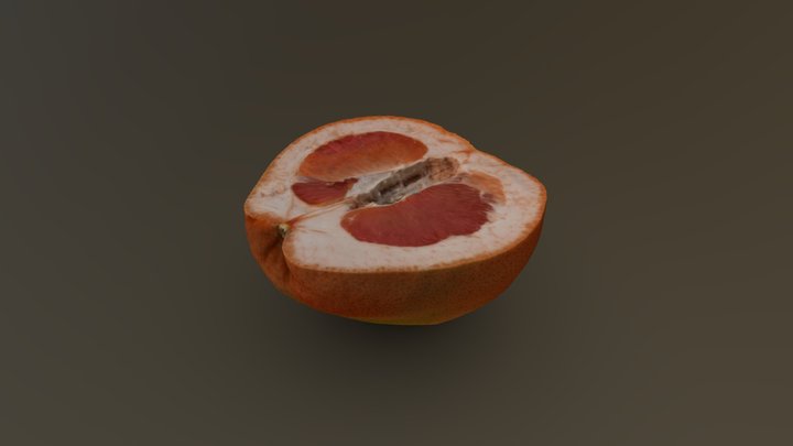 Half Grapefruit 04 3D Model