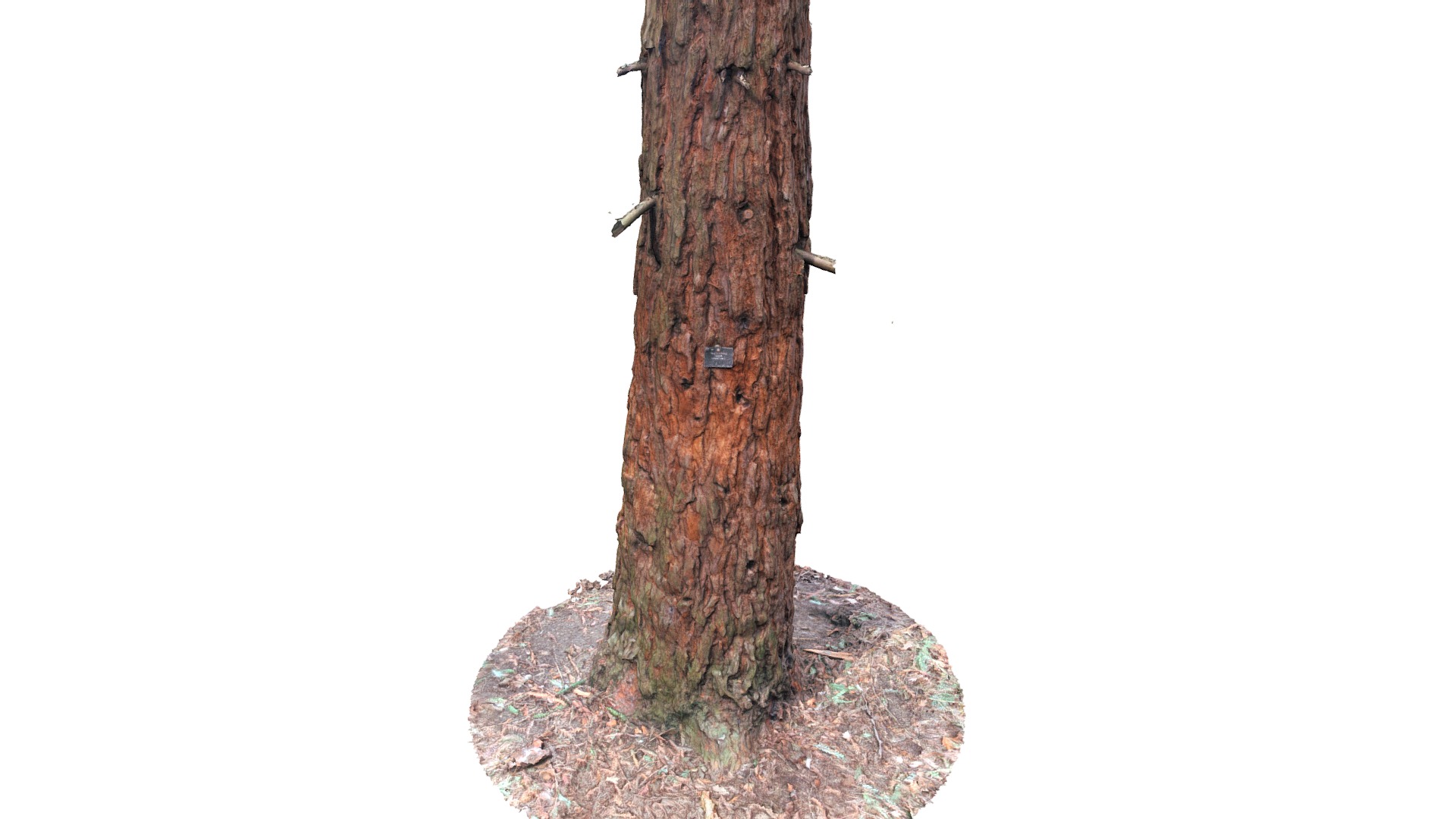 3D model 4Tree Zip - This is a 3D model of the 4Tree Zip. The 3D model is about a tree trunk with a hole in it.
