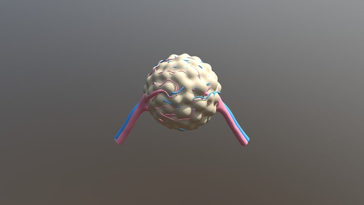 TumorVasculatureAndGlycolysis 3D Model