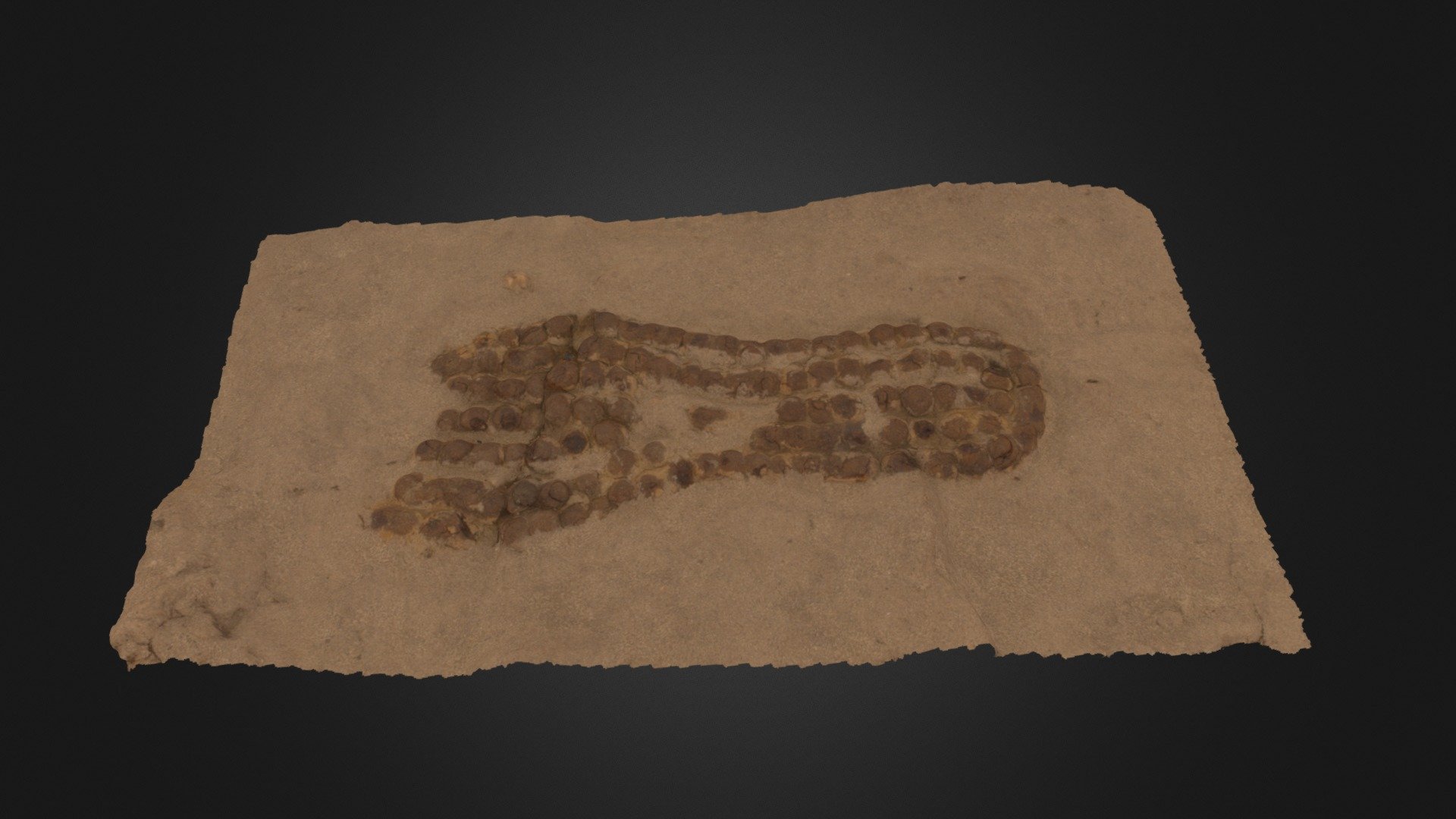 Schoenzool; Roman shoe sole