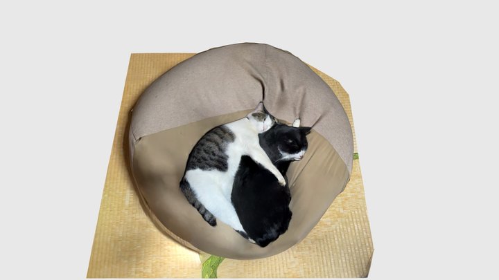 Cat holds cat – Modello 3D gratuito STL