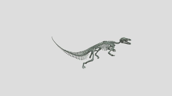Tenontosaurus 3D Model