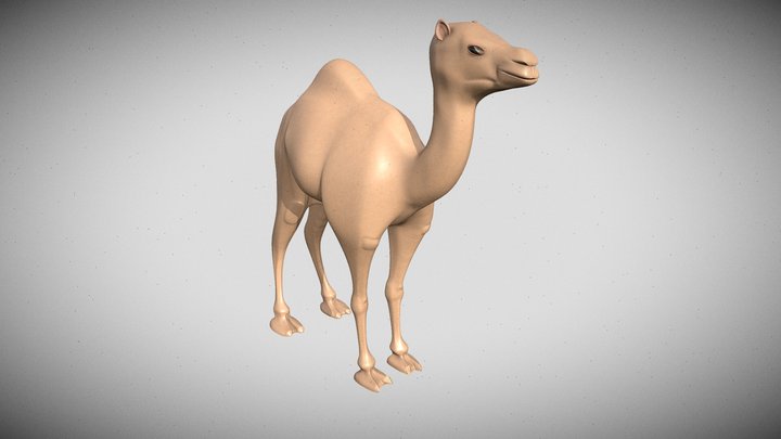 Camel 3D Model