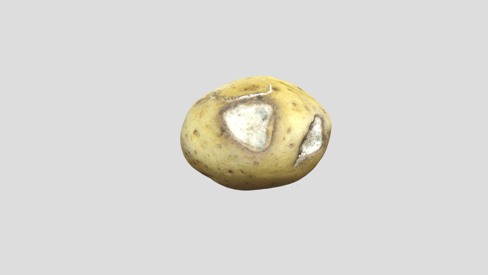 Potato Obj