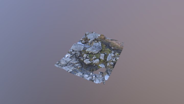 Callanish 10, st1 3D Model