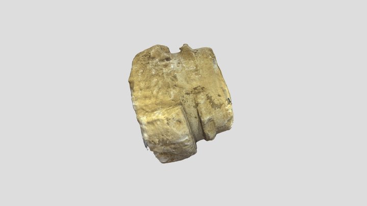 Tambour de Colonne 3D Model