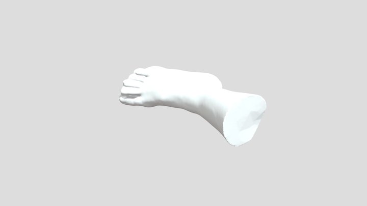 Human Leg 3D Scan High Quality 3D Model