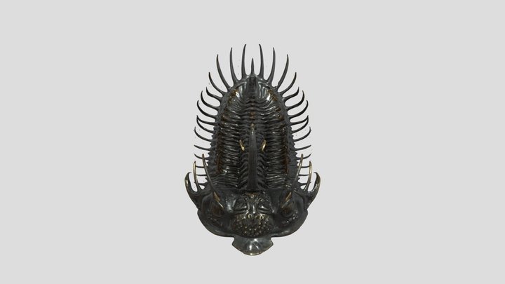 Fossil Trilobite  1 3D Model