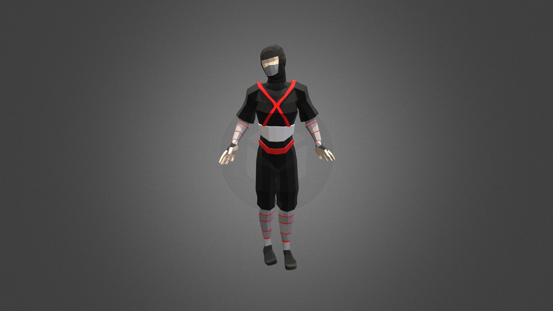Ninja Animacion