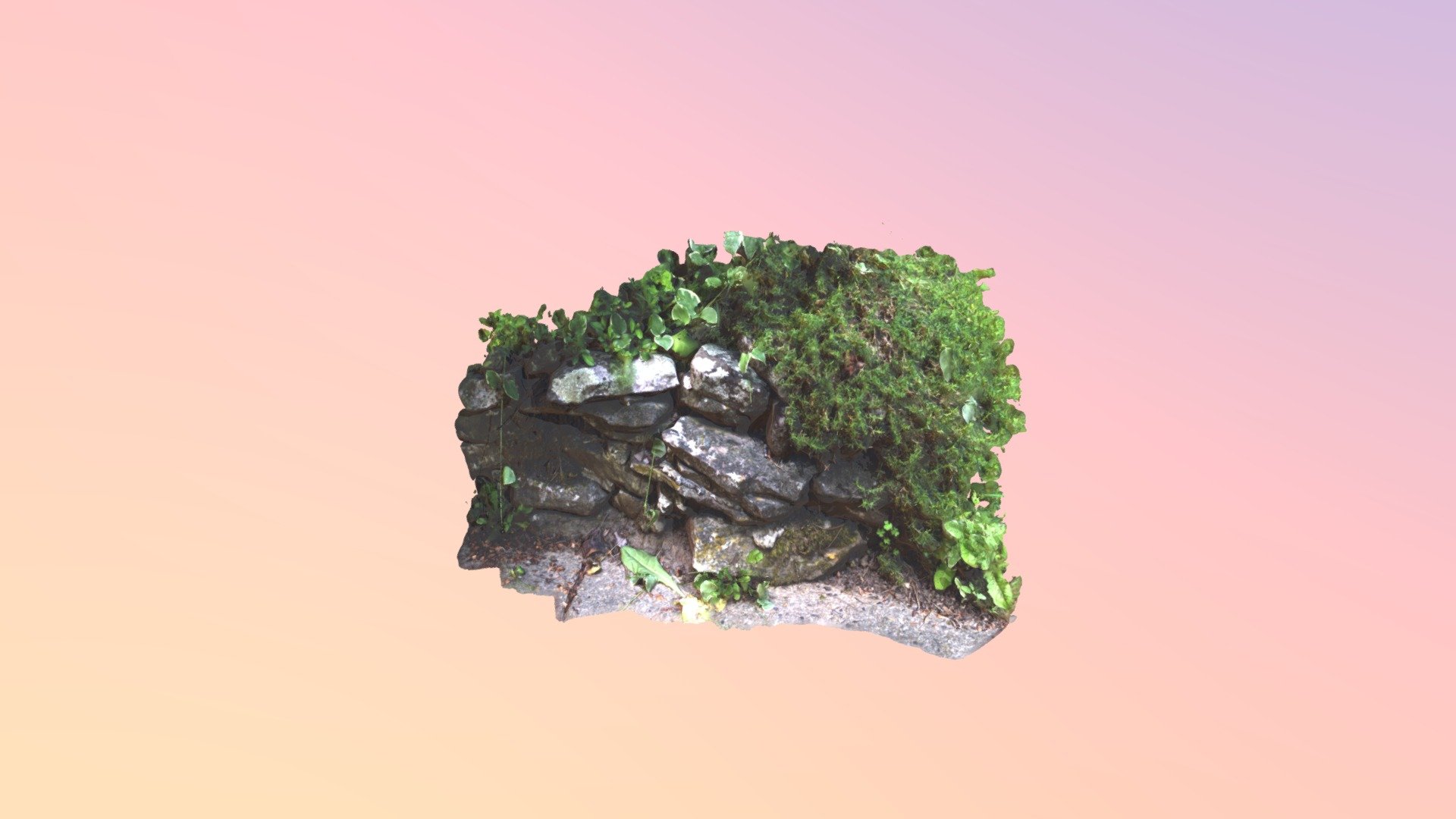 mossy rocks