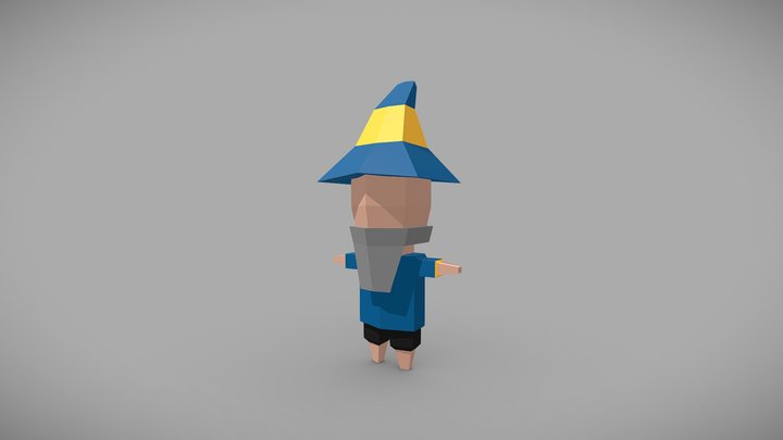 Low Poly Wizard 3D Model